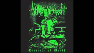 Divinity Of Death  Nekromantheon Full Album [upl. by Erreit957]