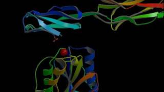 ICAMIntegrin inhibitors Rate My Science [upl. by Salvay]