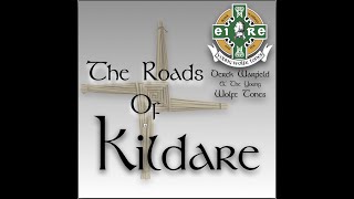 Roads Of Kildare Derek Warfield amp The Young Wolfe Tones [upl. by Ambert]