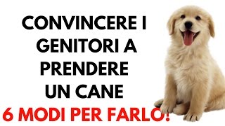 Convincere i genitori a prendere un cane 6 modi per farlo e i motivi per non farlo [upl. by Sheela]