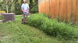 Lawn care vlog 41 Mowing a new yard tall grass lawn makeover [upl. by Pascal]