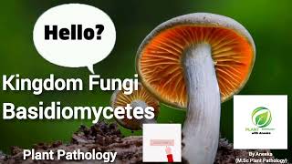 Kingdom fungi  Class Basidiomycetes  Mushrooms  order Uredinales  order Ustilaginales [upl. by Ardel]