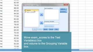 Independent Samples t Test in SPSS  Two sample t test [upl. by Ylebmik]