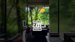 When Coffee meets Lush Jungle plants garden landscaping [upl. by Im]