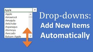 Add New Items To Excel Dropdown Lists Automatically In Seconds [upl. by Kinnon699]