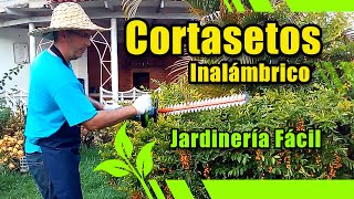 Podadora Plana Inalámbrica  Cortasetos Inalámbrico  WORKPRO 20V  Herramientas de JARDINERÍA [upl. by Heinrich144]