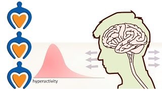 ADHD  What is it and whats the difference with ADD [upl. by Zebulon]