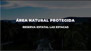 ÁREA NATURAL PROTEGIDA quotRÍO CUAUTLAquot [upl. by Znarf]