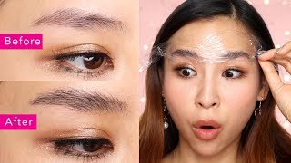 DIY Brow Lamination  The Newest Brow Trend  TINA TRIES IT [upl. by Kcirreg]