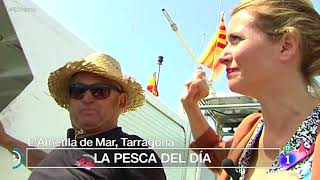 España Directo visita lAmetlla de Mar [upl. by Ahsilif889]