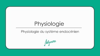 Tutorat physiologie  Physiologie du système endocrinien [upl. by Annabell893]