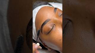 Brow Lamination Tutorial esthetician eyebrows trending sobrancelhas browlamination brows [upl. by Dulcinea]