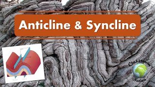 Anticlines and Synclines [upl. by Yelsehc]