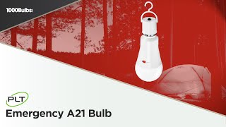 PLT LED A21 Emergency Light Bulb  Product Spotlight [upl. by Let312]