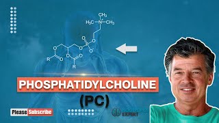 Phosphatidylcholine [upl. by Triny]