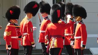 Number 7 Company Coldstream Guards [upl. by Levana488]