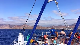 Catamaran Sailing to Playa Papagayo Beach Lanzarote [upl. by Linoel]