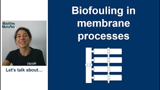 Biofilm Minutes  Biofouling in membrane processes [upl. by Iow]