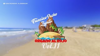 COSA PECHOCHA  EL SERRUCHO  FRANCISCO PACHO ZAPATA ORGANO AL ROJO VOL 11  Música Instrumental [upl. by Ahsemed]