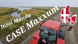 mit dem CASE Maxxum TraktorBus durchs Wattenmeer von Insel Mandø zurück aufs Festland Dänemark 🇩🇰 [upl. by Danete]