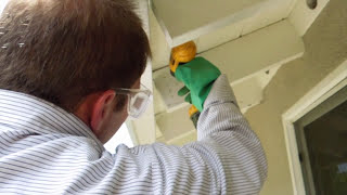 Drywood Termite Treatments Eliminate Termites Without Tenting [upl. by Eceela]