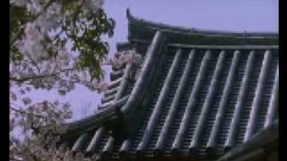 Japanese History of Edo period to Meiji Restoration16 [upl. by Ehcropal]