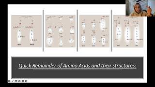 Isoelectric point and amino acid titration  Arabic [upl. by Hcnarb542]