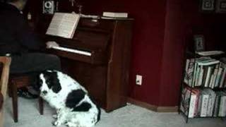 Cooper the Singing Dog  The Christmas Song [upl. by Conley]