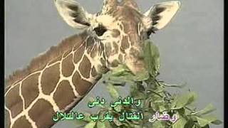 Arabic Karaoke Fairouz Chadi [upl. by Schach]