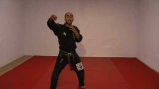 CASA DE KENPO  AMERICAN KENPO  LONG FORM 2 [upl. by Leiru971]