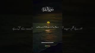 Surah Al baqra with Urdu translation💗🌼islamicstatus translationquran beautifullslamic shorts [upl. by Aridan]