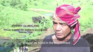 Indigenous peoples of Maguindanao plant organic nonGMO corn seeds and fertilizers [upl. by Heinrick]