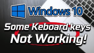 How to Fix LaptopPC Keyboard Not Working in Windows 11 Easy [upl. by Resor]