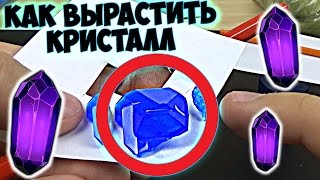 ЧТО С КРИСТАЛЛАМИ ВЫРАЩИВАЕМ МНОГО НОВЫХ КРИСТАЛЛОВ [upl. by Devora]