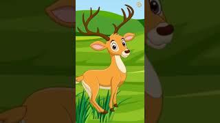 The Foolish Stag  Kids Stories in English  Engaging Kids Stories in English [upl. by Eustatius866]