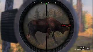 Cabelas Big Game Hunter Pro Hunts Moose  Deer Hunting games gaming gameplay viralgameplay [upl. by Enelhtac]