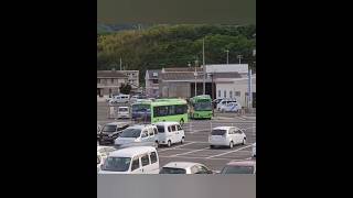 小豆島オリーブバス🫒 Buses in ShodoshimaKagawaJapan [upl. by Roxy]