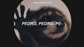 la canción de pedro  PEDRO  Raffaella Carrà Jaxomy Agatino Romero Remix sub español [upl. by Alvord]