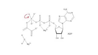 CHEM 407  Glycolysis  10  Pyruvate Kinase [upl. by Ailahtan970]