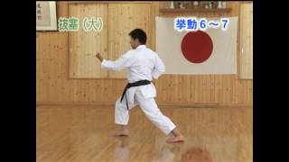 JKA Bassai Dai 42 moves by Kurihara Sensei [upl. by Sturdivant438]