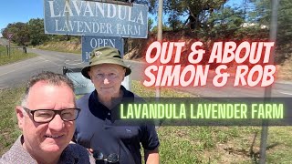 Simon and Rob visit the Lavandula Lavender Farm between Castlemaine and Daylesford in Victoria [upl. by Lareneg]