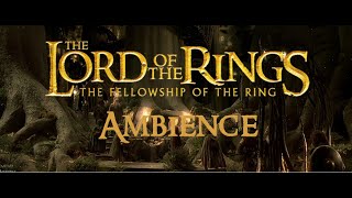 The Lord of the Rings  Caras Galadhon Lothlórien  Ambience Elves singing [upl. by Anidualc326]