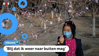 Goed nieuws 70000 Chinezen hersteld van corona [upl. by Brunella]