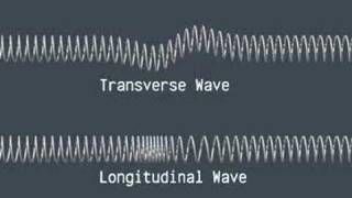 Transverse and Longitudinal Waves [upl. by Renelle]