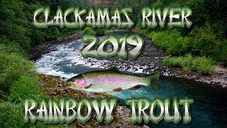 Clackamas River Trout Fishing In Estacada Oregon [upl. by Aihsekan589]