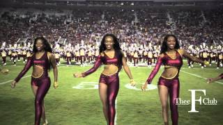 Bethune Cookman University Halftime 2013  TheeFClub [upl. by Attlee188]