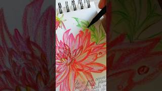 How to draw a Dahlia art coloredpencils shorts shortsart summer drawingtutorials scetches [upl. by Nosnek]