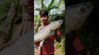 fishing fishng bassfish fish fishl fishspecies food carping freshwaterfish carpfishing [upl. by Gersham]