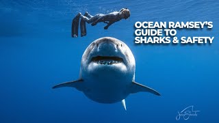 Ocean Ramsey Wants to Teach You Everything She Knows About Sharks  The Inertia [upl. by Eninnaej818]