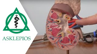 Minimalinvasive Operationsverfahren in der Urologie  Asklepios [upl. by Anastasia]